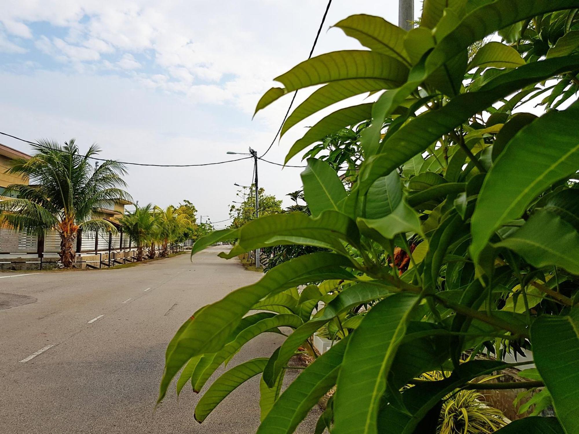 Siantan In Paya Rumput Near Std Hang Jebat, Sg Udang & Uitm Lendu Malacca Exterior photo